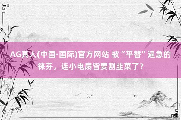 AG真人(中国·国际)官方网站 被“平替”逼急的徕芬,连小电扇皆要割韭菜了?