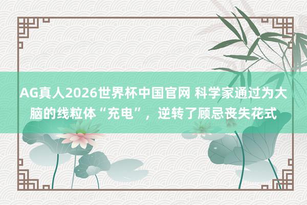 AG真人2026世界杯中国官网 科学家通过为大脑的线粒体“充电”，逆转了顾忌丧失花式