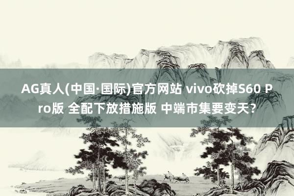 AG真人(中国·国际)官方网站 vivo砍掉S60 Pro版 全配下放措施版 中端市集要变天?