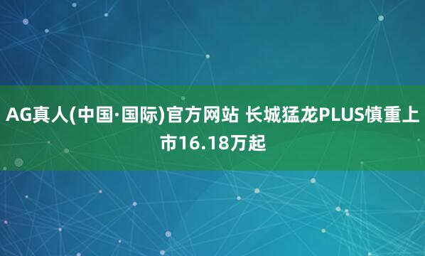 AG真人(中国·国际)官方网站 长城猛龙PLUS慎重上市16.18万起