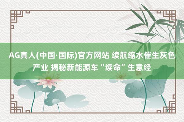 AG真人(中国·国际)官方网站 续航缩水催生灰色产业 揭秘新能源车“续命”生意经