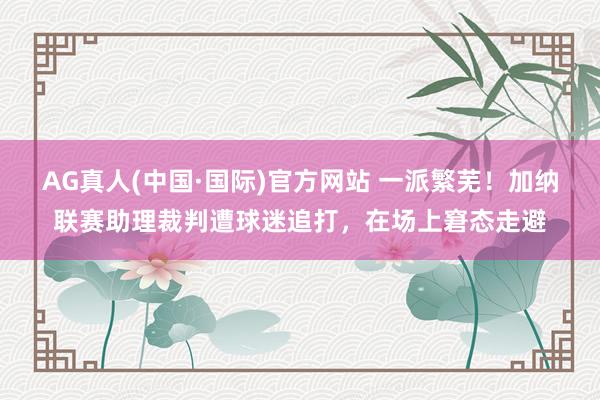 AG真人(中国·国际)官方网站 一派繁芜!加纳联赛助理裁判遭球迷追打,在场上窘态走避