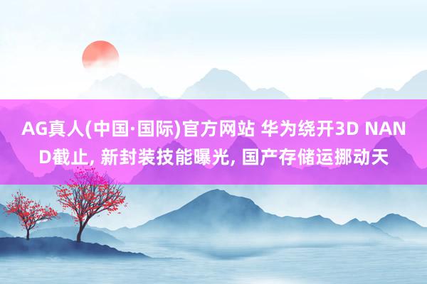 AG真人(中国·国际)官方网站 华为绕开3D NAND截止, 新封装技能曝光, 国产存储运挪动天