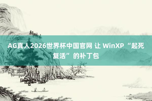 AG真人2026世界杯中国官网 让 WinXP “起死复活” 的补丁包