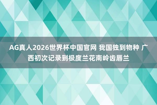 AG真人2026世界杯中国官网 我国独到物种 广西初次记录到极度兰花南岭齿唇兰