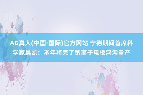 AG真人(中国·国际)官方网站 宁德期间首席科学家吴凯:本年将完了钠离子电板鸿沟量产