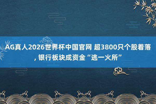 AG真人2026世界杯中国官网 超3800只个股着落, 银行板块成资金“逃一火所”