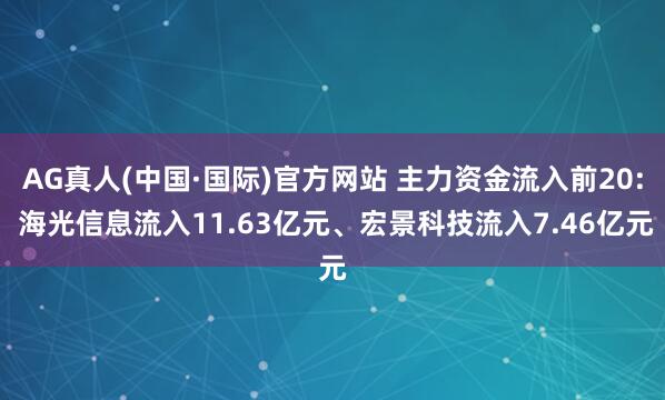 AG真人(中国·国际)官方网站 主力资金流入前20: 海光信息流入11.63亿元、宏景科技流入7.46亿元