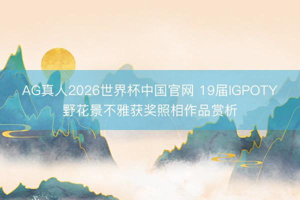 AG真人2026世界杯中国官网 19届IGPOTY野花景不雅获奖照相作品赏析
